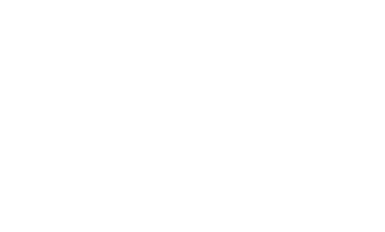 Crisis Icon