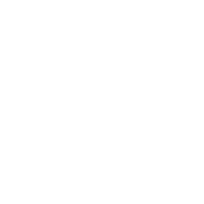 Personal Branding Icon