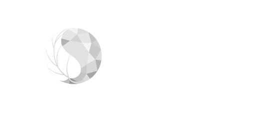Logo 12